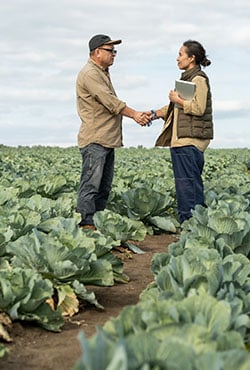 Real estate agents and clients shake hands